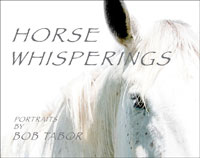 Horse Whisperings